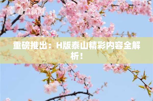 重磅推出：H版泰山精彩内容全解析！