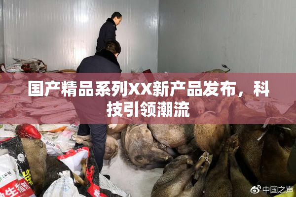 国产精品系列XX新产品发布，科技引领潮流
