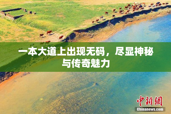 一本大道上出现无码，尽显神秘与传奇魅力