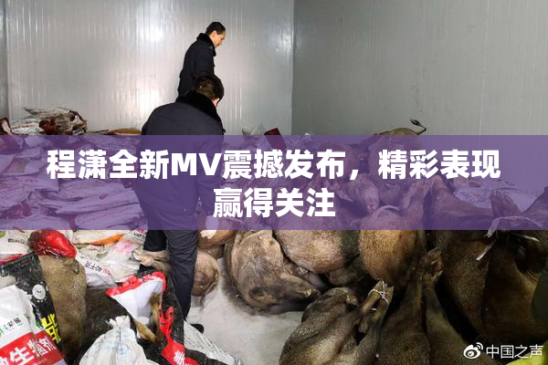 程潇全新MV震撼发布，精彩表现赢得关注