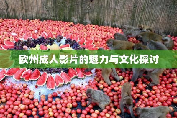 欧州成人影片的魅力与文化探讨