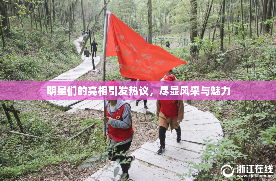 明星们的亮相引发热议，尽显风采与魅力