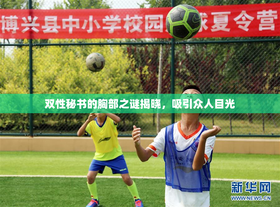 双性秘书的胸部之谜揭晓，吸引众人目光