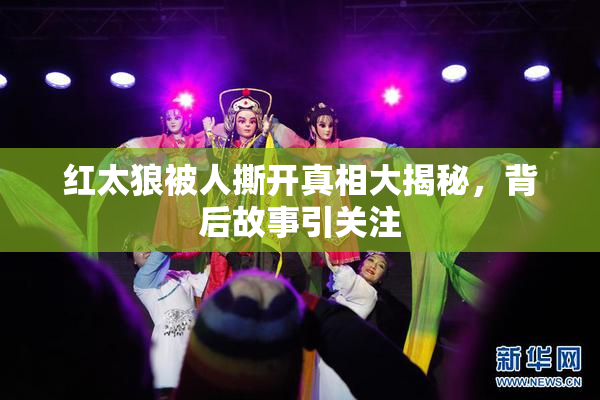 红太狼被人撕开真相大揭秘，背后故事引关注