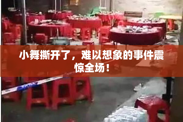 小舞撕开了，难以想象的事件震惊全场！