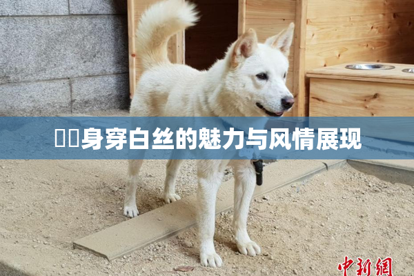 妺妺身穿白丝的魅力与风情展现
