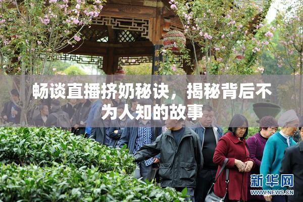 畅谈直播挤奶秘诀，揭秘背后不为人知的故事