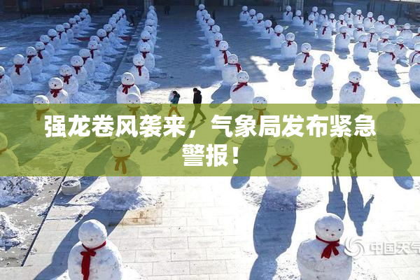 强龙卷风袭来，气象局发布紧急警报！