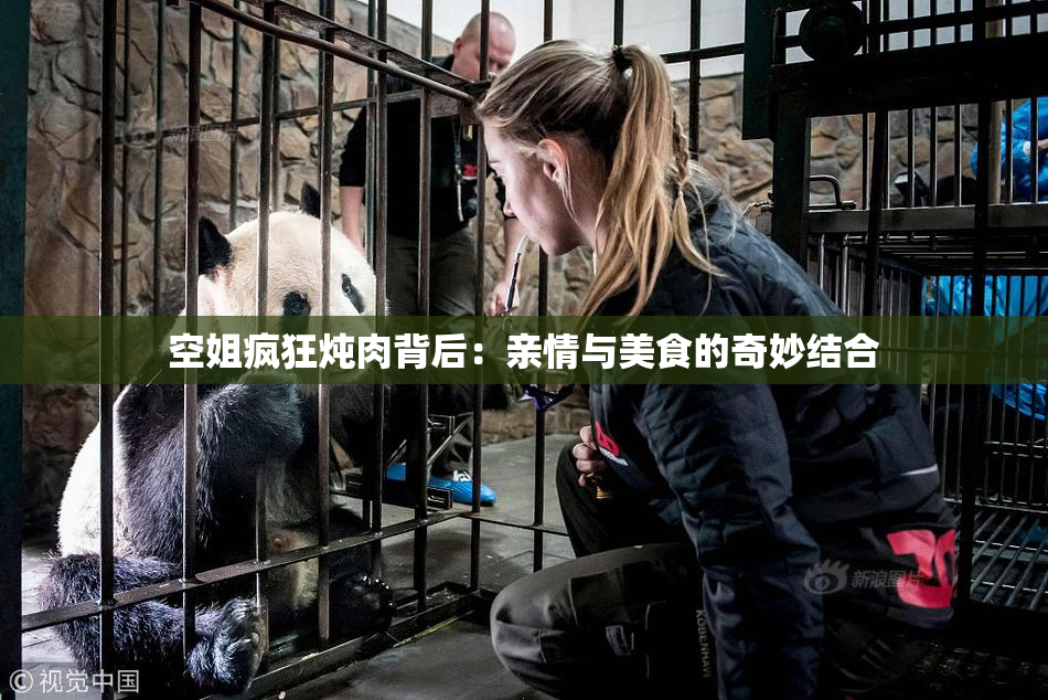 空姐疯狂炖肉背后：亲情与美食的奇妙结合