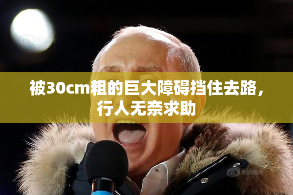 被30cm粗的巨大障碍挡住去路，行人无奈求助