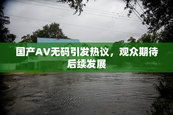 国产AV无码引发热议，观众期待后续发展