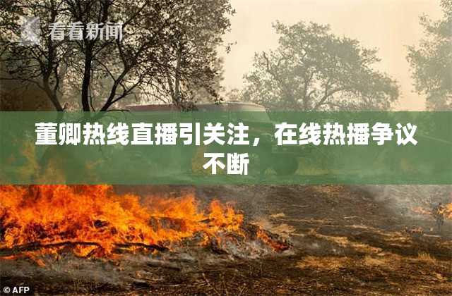 董卿热线直播引关注，在线热播争议不断