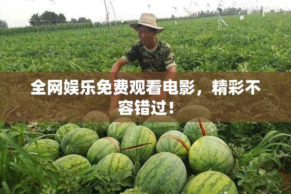 全网娱乐免费观看电影，精彩不容错过！