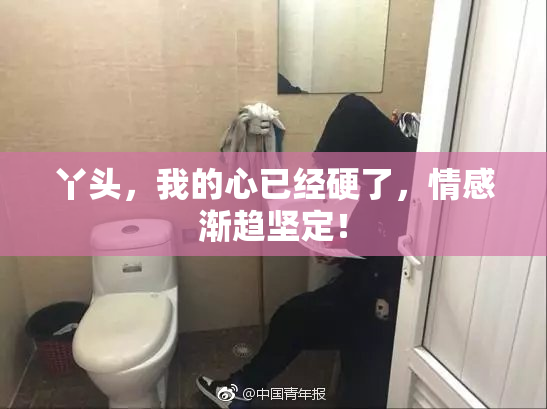 丫头，我的心已经硬了，情感渐趋坚定！