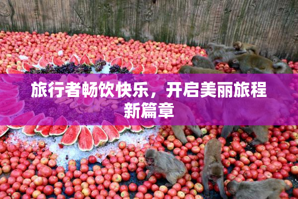 旅行者畅饮快乐，开启美丽旅程新篇章