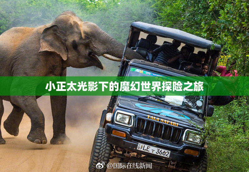 小正太光影下的魔幻世界探险之旅