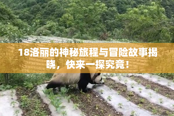 18洛丽的神秘旅程与冒险故事揭晓，快来一探究竟！