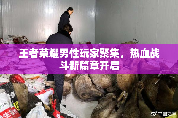 王者荣耀男性玩家聚集，热血战斗新篇章开启
