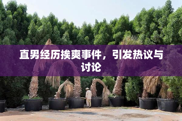 直男经历挨爽事件，引发热议与讨论