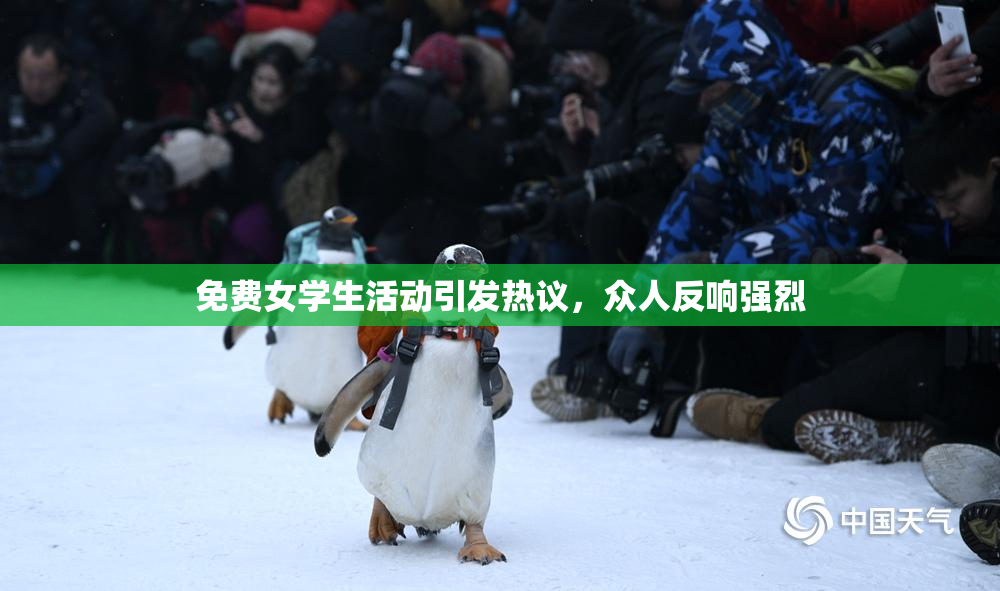 免费女学生活动引发热议，众人反响强烈