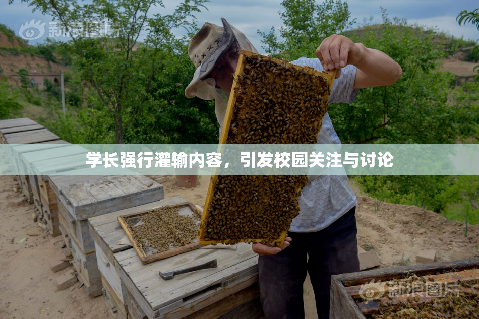 学长强行灌输内容，引发校园关注与讨论