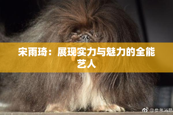 宋雨琦：展现实力与魅力的全能艺人