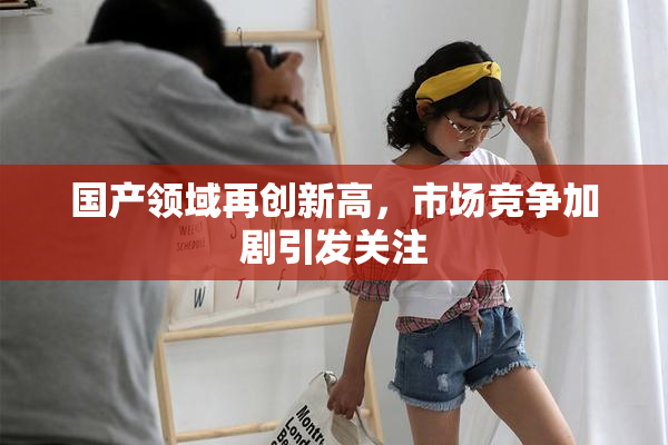 国产领域再创新高，市场竞争加剧引发关注