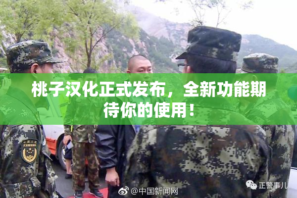 桃子汉化正式发布，全新功能期待你的使用！