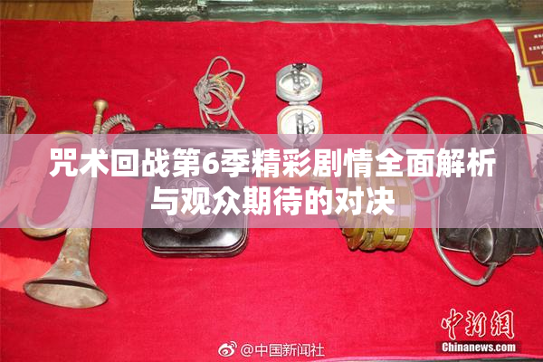 咒术回战第6季精彩剧情全面解析与观众期待的对决