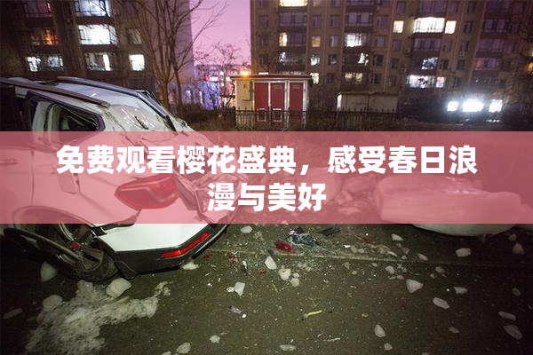 免费观看樱花盛典，感受春日浪漫与美好
