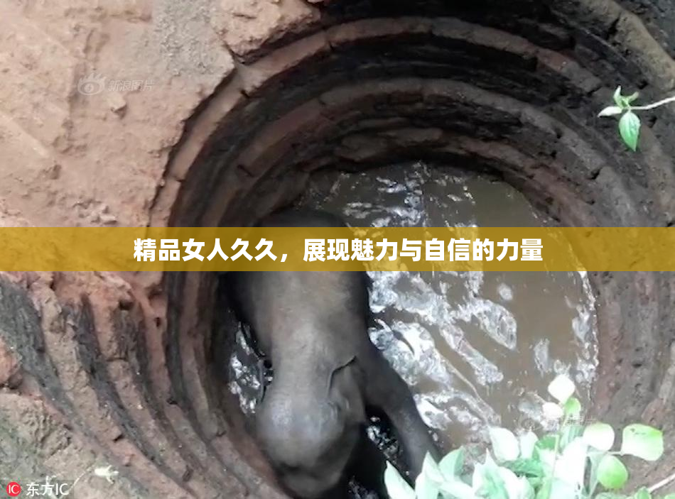 精品女人久久，展现魅力与自信的力量