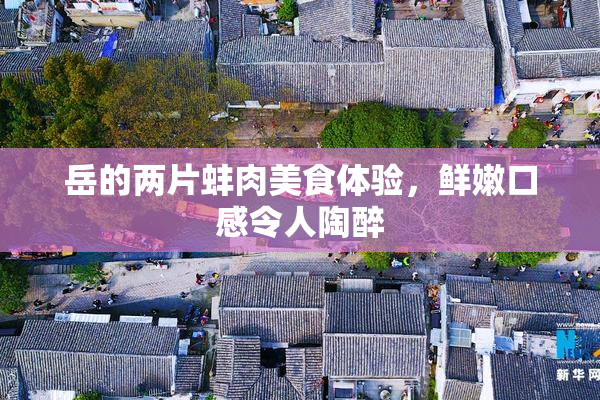 岳的两片蚌肉美食体验，鲜嫩口感令人陶醉