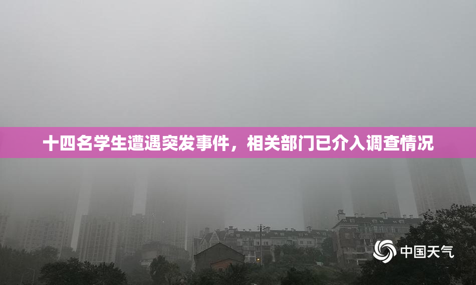 十四名学生遭遇突发事件，相关部门已介入调查情况