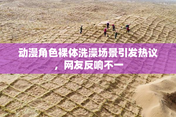 动漫角色裸体洗澡场景引发热议，网友反响不一