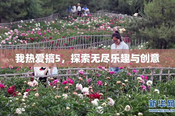 我热爱搞5，探索无尽乐趣与创意