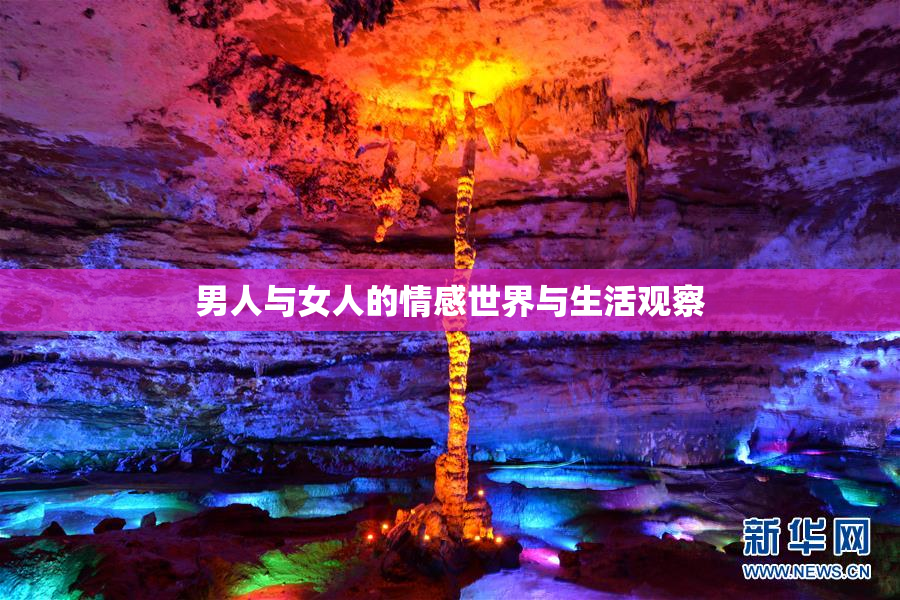 男人与女人的情感世界与生活观察