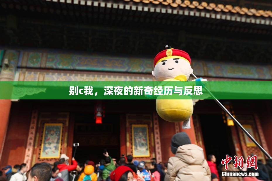 别c我，深夜的新奇经历与反思