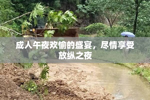 成人午夜欢愉的盛宴，尽情享受放纵之夜