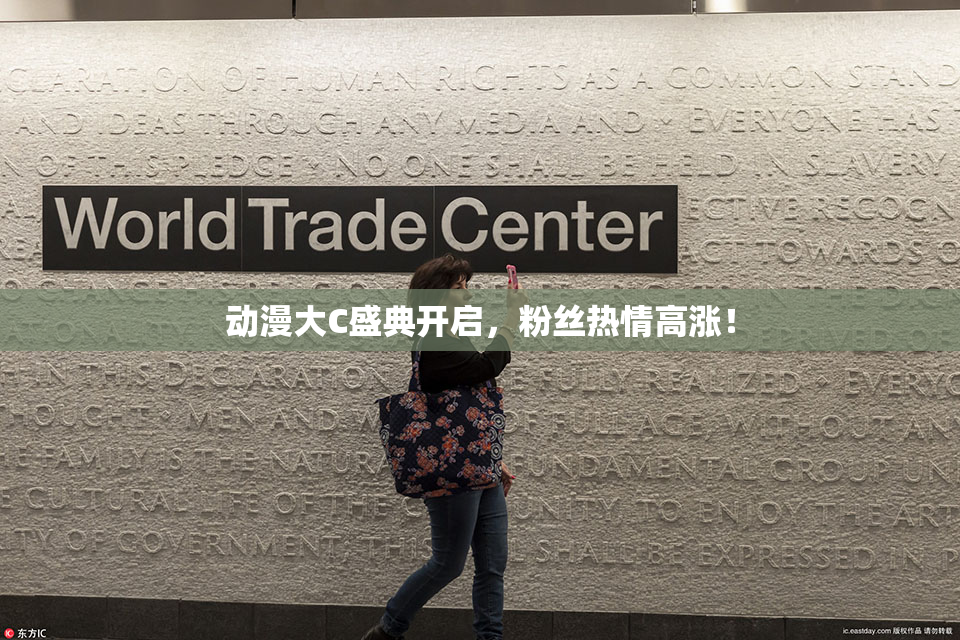 动漫大C盛典开启，粉丝热情高涨！