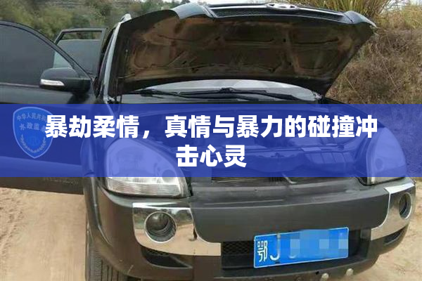 暴劫柔情，真情与暴力的碰撞冲击心灵