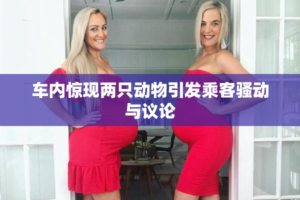 车内惊现两只动物引发乘客骚动与议论
