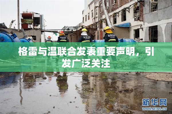 格雷与温联合发表重要声明，引发广泛关注