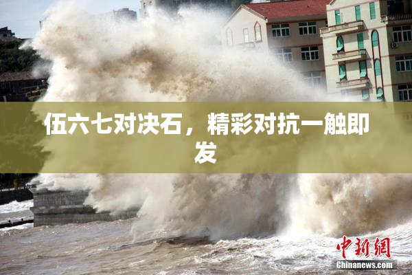 伍六七对决石，精彩对抗一触即发