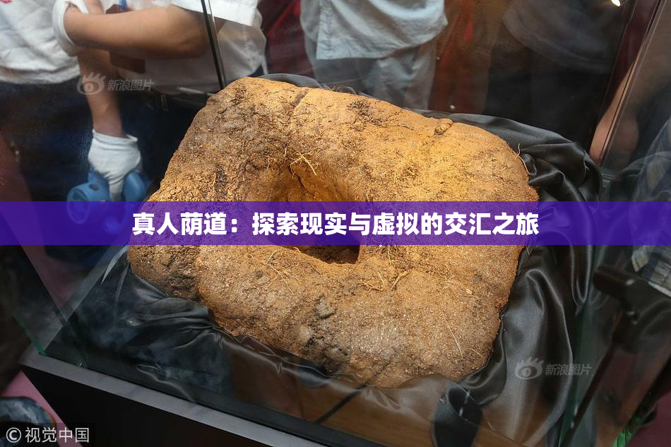 真人荫道：探索现实与虚拟的交汇之旅