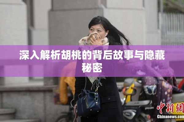 深入解析胡桃的背后故事与隐藏秘密