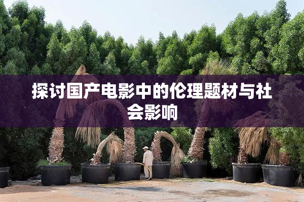 探讨国产电影中的伦理题材与社会影响
