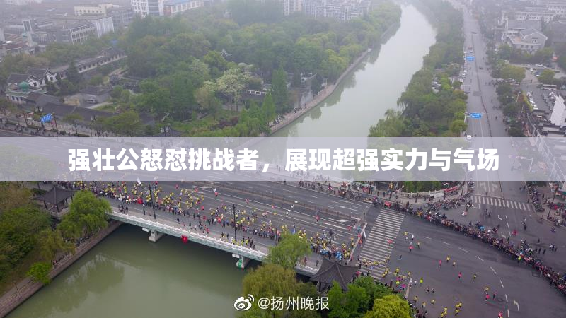 强壮公怒怼挑战者，展现超强实力与气场