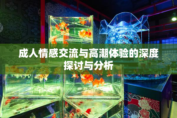 成人情感交流与高潮体验的深度探讨与分析