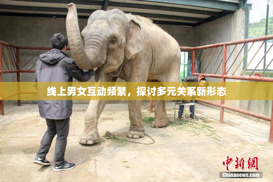 线上男女互动频繁，探讨多元关系新形态
