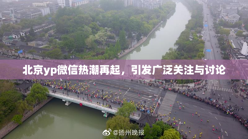 北京yp微信热潮再起，引发广泛关注与讨论